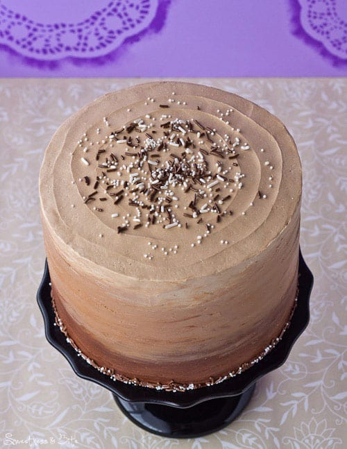 Chocolate and Vanilla Honey Cheesecake Layer Cake Sprinkly Top