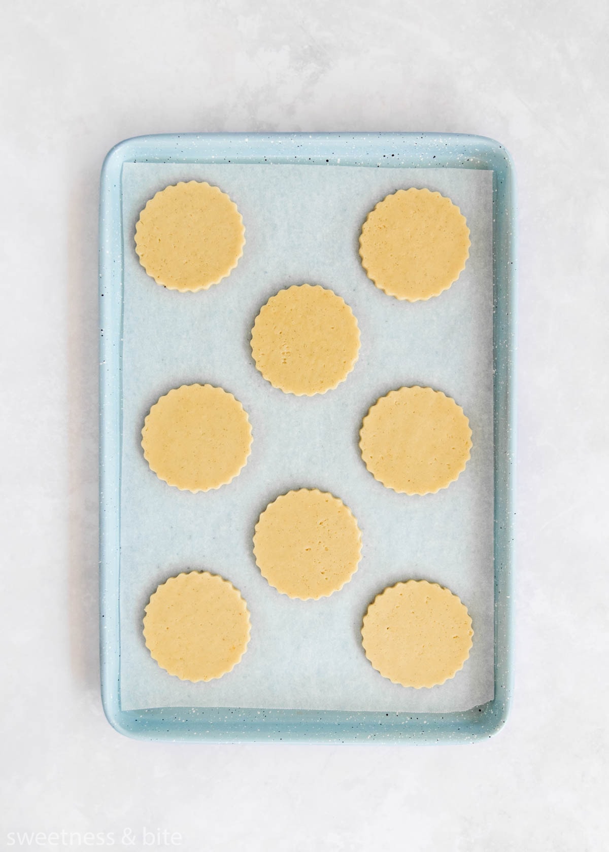 8 scalloped circle shaped cookie dough pieces on a blue cookie sheet.