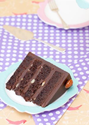 Gluten Free Toasted Almond Chocolate Cake ~ Sweetness & Bite