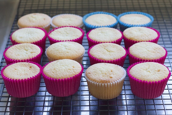 Vanilla cream cupcakes